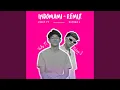 Download Lagu INDOMAMI (Remix)