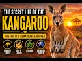 The Secret Life of the Kangaroo