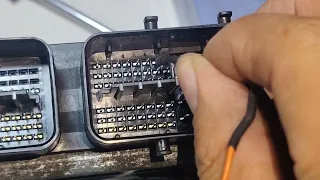                         دندنها