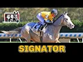 SIGNATOR Breaks Maiden At Aqueduct For Shug McGaughey 1 7 Million Tapit Colt Bound For Derby Prep