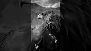 Https Www Instagram Com Reel DQqt7Jtkd C Igsh ZGN3YmY3cWRzMDd5 