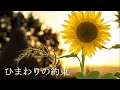 Download Lagu ひまわりの約束 (Himawari No Yakusoku) / 秦基博 (Hata Motohiro) 【Rere】