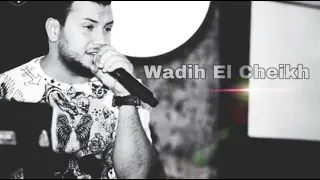 الفنان وديع الشيخ غيبي ياشمس غيبي جنة جنة تسلم ياوطنا 