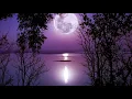 Deep Sleep Music, Insomnia, Sleep Meditation, Calming Music, Zen, Study Music, Relax, Sleep, ☯1989