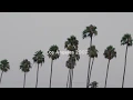 Nipsey Hussle - Double Up Ft. Belly & Dom Kennedy [Official Music Video]