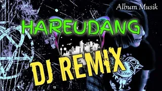 Download DJ HAREUDANG HAREUDANG, REMIX Viral Terbaru MP3