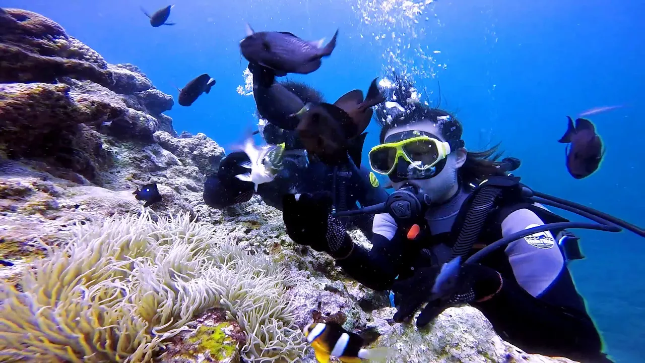 【沖縄・恩納村】神秘の青の洞窟へ体験ダイビング（1ダイブ・ガイド完全貸切・移動ラクチンボート開催／昨年1500名以上案内）