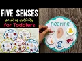 Five Senses Sorting Activity Busy Bags Activity Toddlers and Preschoolers