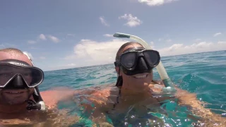 Big FISH and WHALES singing | Episode 3 | Sailing Catalpa