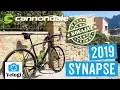 Download Lagu Koeajossa Cannondale Synapse Carbon Disc Ultegra 2019