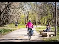 Living in Roscoe Village IL The Ultimate Local Guide Homes com