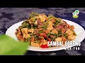 Download Lagu Sambal Goreng Mak Ton with Eng Subs