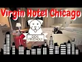 Staying at the Virgin Hotel Chicago with a Dog Dog-Friendly Travel 2022