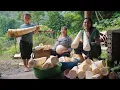 Download Lagu giant bamboo shoot harvest, bamboo shoot processing, farm life, SURVIVAL ALONE