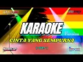 CINTA YANG SEMPURNA - HAPPY LOSS KARAOKE VERSION