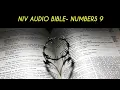 NUMBERS 9 NIV BIBLE with text