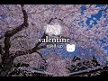 Download Lagu Laufey valentine sped up ♡︎✰
