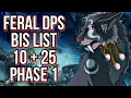 Feral DPS BIS - Phase 1