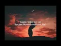 [playlist] 밤에 듣는 클래식 / Classical music that you listen to at night