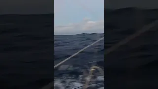 Sailing Fast 💨