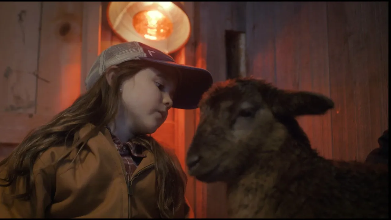 NorthWestern Energy — NorthWestern Energy — Delivering a Bright Future (YouTube video ad)