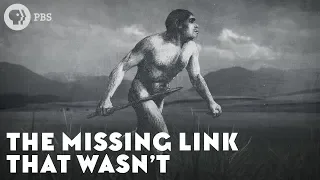The Missing Link That Wasn t