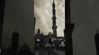 لما سار المركب نساني قصيدة يا طيبة 
