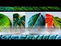 How to make a polymer clay leaf without molds - Tutorial