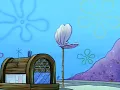 The Suds