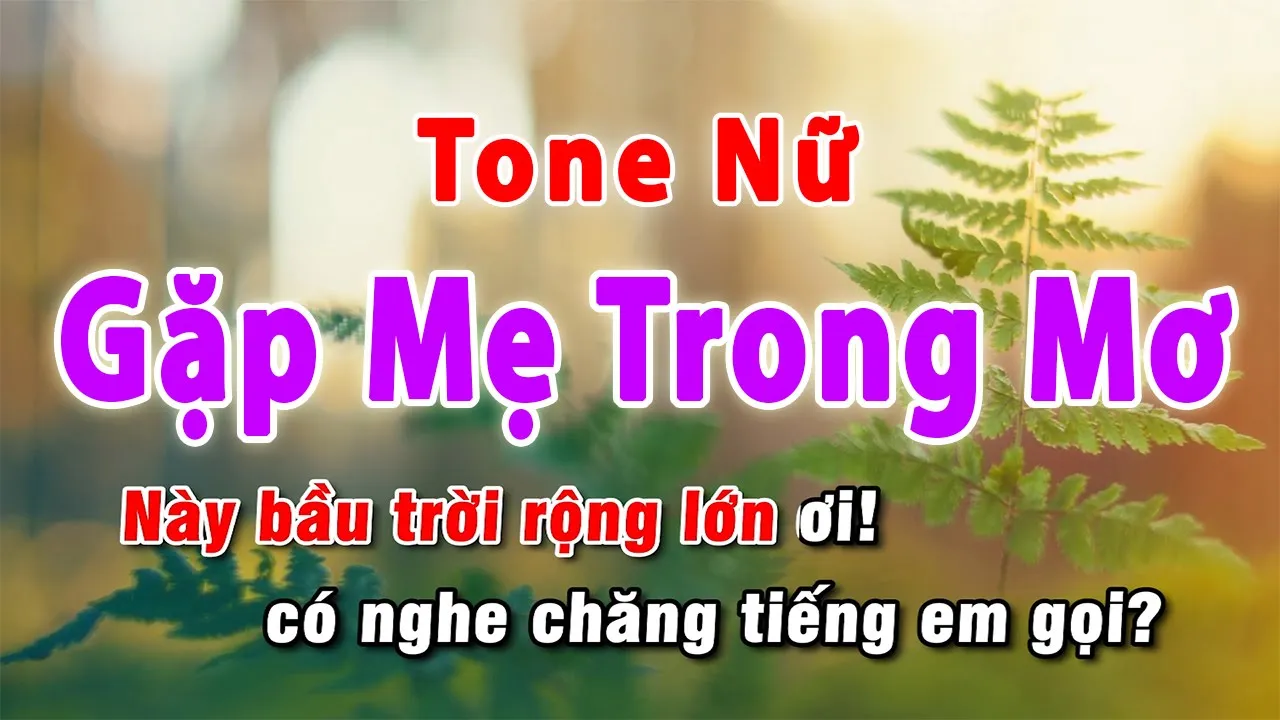 Gặp Mẹ Trong Mơ ( LENA