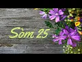 Som 25 - Psaume 25 en creole