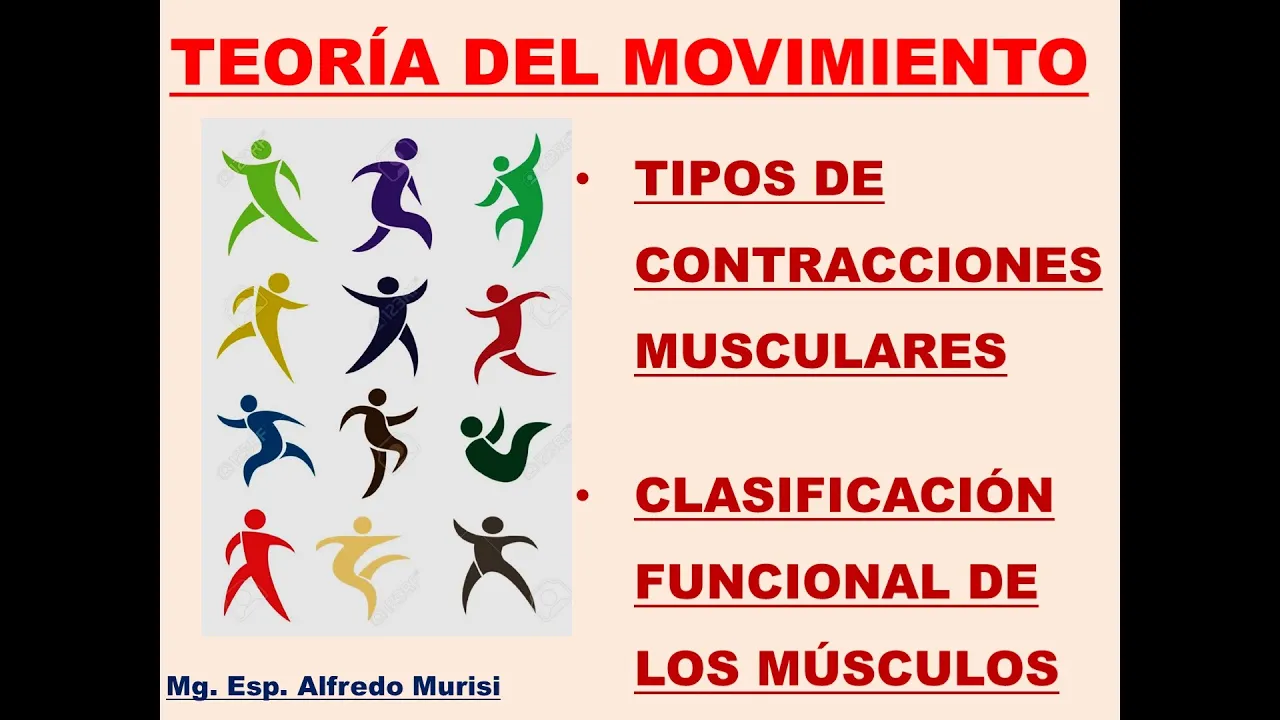 Alfredo Murisi - Tipos de contracciones musculares y clasificación funcional de los músculos
