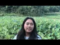 Download Lagu OTW KE LADANG TIMUN MERTUA CHINAKU 🇨🇳 / PEMANDANGAN DESA HUICHANG