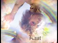 Miss Shiney - Kaiit (Audio)