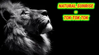 Download NATURAL SUNRISE - TOK TOK TOK MP3