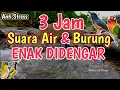 Lagu Nyaman Banget‼️ Relaksasi Alami Suara Air dan Burung Kicau 