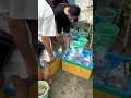 Lagu THẾ TRIỀU GUPPY FARM thăm lại ông 2 nuôi cá. Phần 1