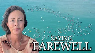 Focus and Farewells- Honoring a Surf Legend ep97   HD 1080p