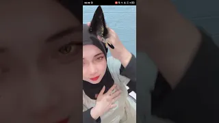 bigo live hijab goyang halu bikin crt 