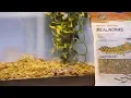 Zilla Reptile Food Chewy