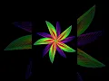 Draw flowers using python