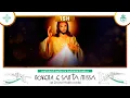 Lagu Santa Missa às 15h - 04/02/2026 - AO VIVO