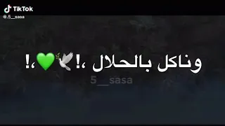 رايحة بينا فين ماشية بينا كام 
