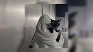 Allah Knows الله يعلم ᴬᵇᵈᵘˡᴬᶻⁱᶻ ᵃˡʳᵃˢʰᵉᵈ 