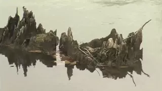 Weather Impact on Fishing