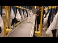 Warehouse Automated Selector