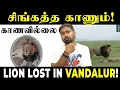 Download Lagu Lion Missing in Vandalur Zoo! 🦁 - Varun Talks