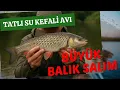 Download Lagu TATLISU KEFALİ (KASNA) AVI #balıkavı #spin #oltailebalıkavı