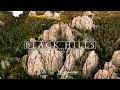 BLACK HILLS National Forest 8K South Dakota Visually Stunning 3min Tour