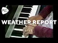 Download Lagu Weather Report - Elegant People (Live At Montreux 1976)